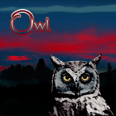 Owl - Electronic Music by Mike Hetman